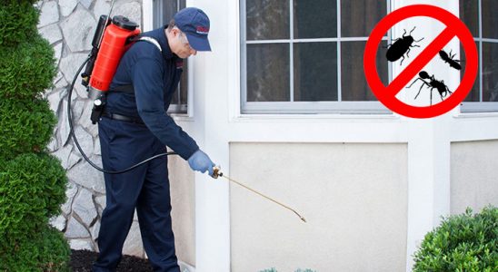 Beydağ Bit İlaçlama böcek ilaçlama ve haşere kontrolü — ilaclama-tr.com